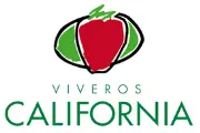 Job postings released by the Viveros California.