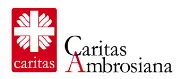 Job postings released by the Caritas Ambrosiana.