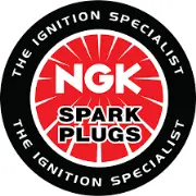 NGK Spark Plugs