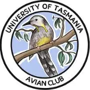 Job postings released by the Austurland Community Birdwatching Club.