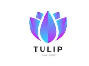 Job postings released by the Tulip.