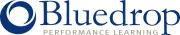 Job postings released by the Bluedrop Performance Learning.