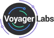 Job postings released by the Voyager Labs.