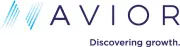 Avior Capital Markets