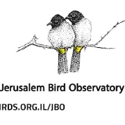 Job postings released by the Jerusalem Bird Observatory.