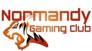 Job postings released by the Normandy Association of Gaming Advocates.