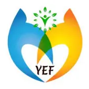 Youth Empowerment Foundation