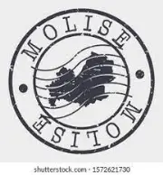 Molise Transportation Services