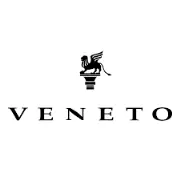 Job postings released by the Veneto Tech Institute.