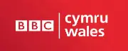 Job postings released by the BBC Cymru Wales.