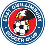 Job postings released by the Egilsstadir Community Soccer Club.