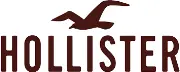 Job postings released by the Hollister Co..