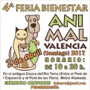 Job postings released by the Feria de la Mascota de Valencia.