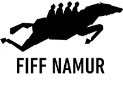 Job postings released by the Namur International Festival of French-Speaking Film.