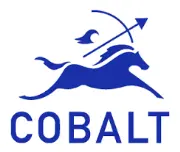 Job postings released by the Cobalt Partners, LLC.