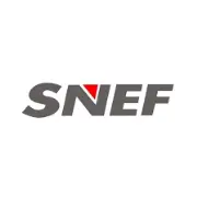 Singapore National Employers Federation (SNEF)