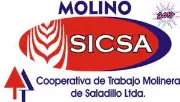 Molino de Saladillo