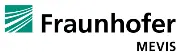 Job postings released by the Fraunhofer MEVIS.