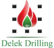 Job postings released by the Delek Drilling.