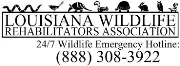 Job postings released by the Ligurian Association for Wildlife Rehabilitation.