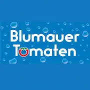 Blumauer Steine GmbH