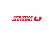 Job postings released by the Bolzoni.