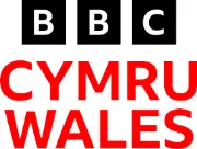 Job postings released by the BBC Wales.