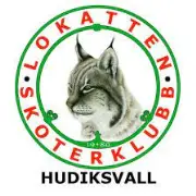 Job postings released by the Hofors Skoterklubb.