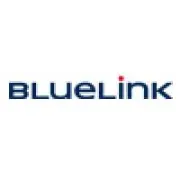 Job postings released by the BlueLink International CZ.