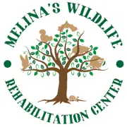 Job postings released by the Messina Regional Wildlife Rehabilitation Center.