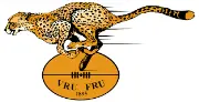 Free State Cheetahs