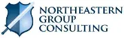 Job postings released by the Northeastern Consulting Group.