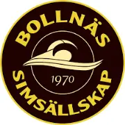 Job postings released by the Bollnäs Simklubb.