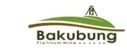 Job postings released by the Bakubung Platinum Mine.