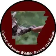 Job postings released by the Arkansas Wildlife Rehabilitation Center.