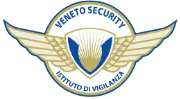 Job postings released by the Veneto IT Security Consultants.