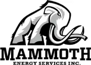 Job postings released by the Mammoth Energy Services.