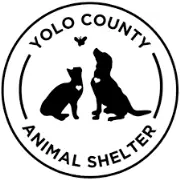 Job postings released by the Ceuta Animal Shelter.