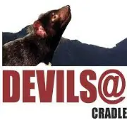 Devils at Cradle