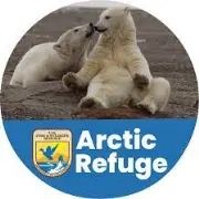 Arctic Environmental Services